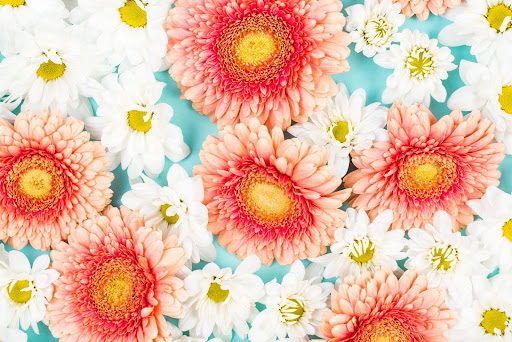 Floral Fashion Prints